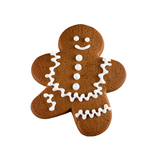 Gingerbread Biscuit